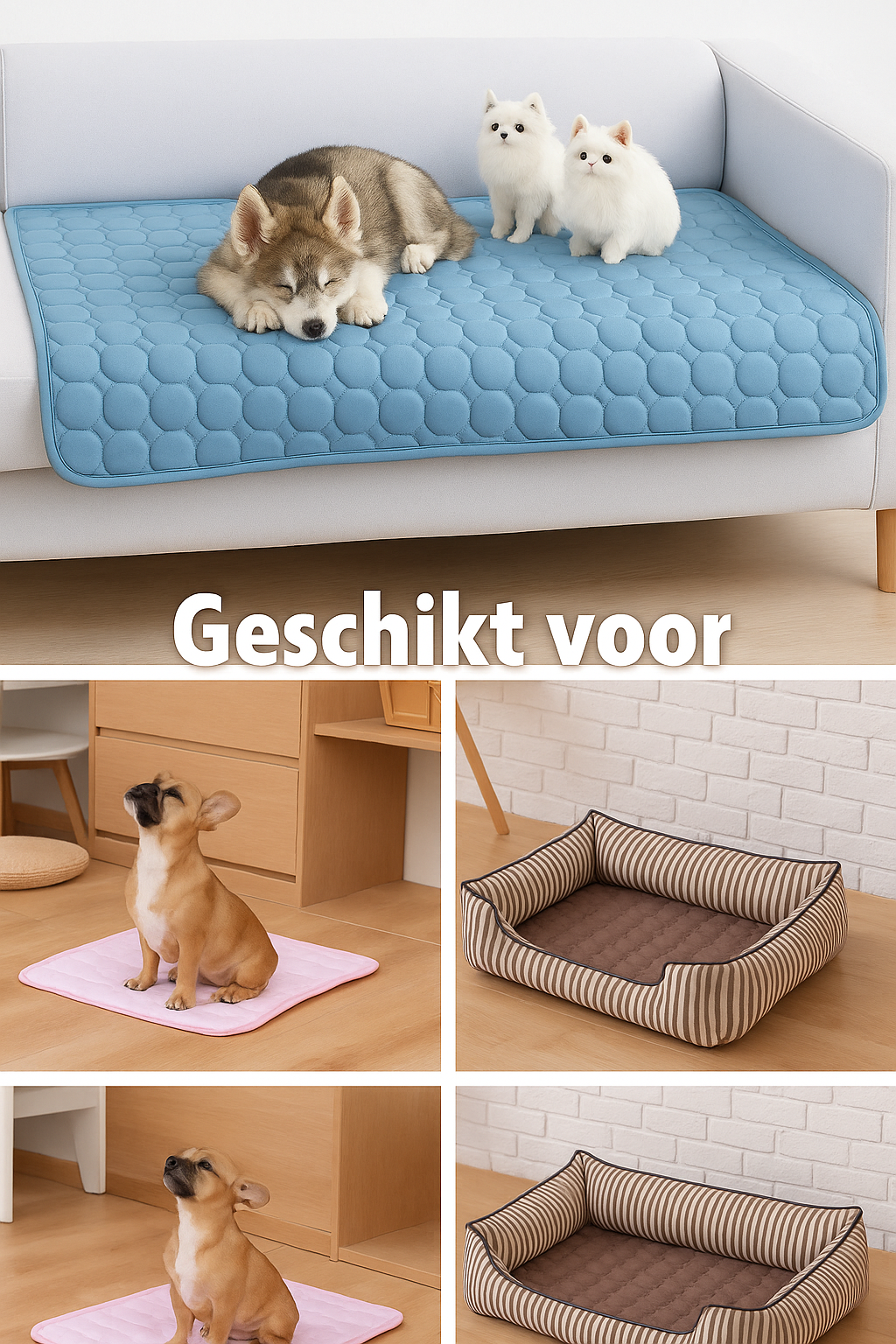 Koelmat - Hond & kat