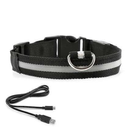Lichtgevende halsband