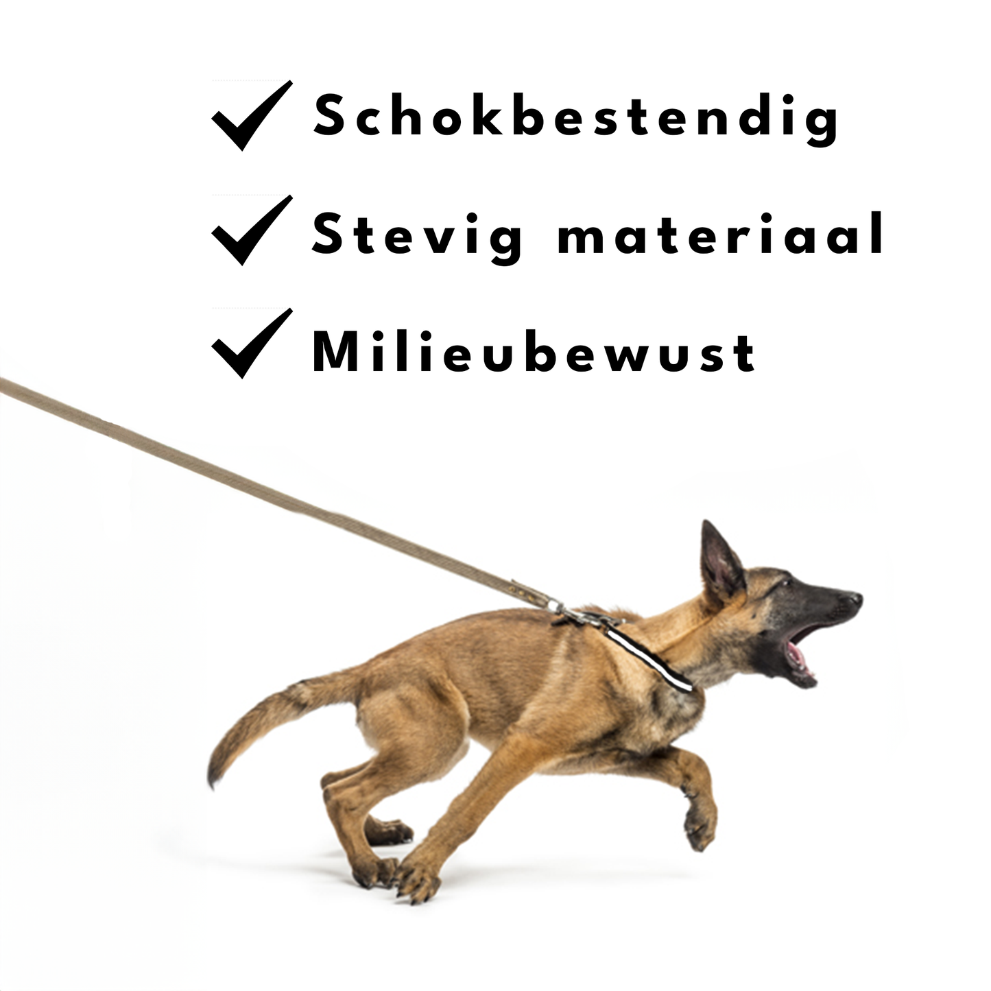 Lichtgevende halsband